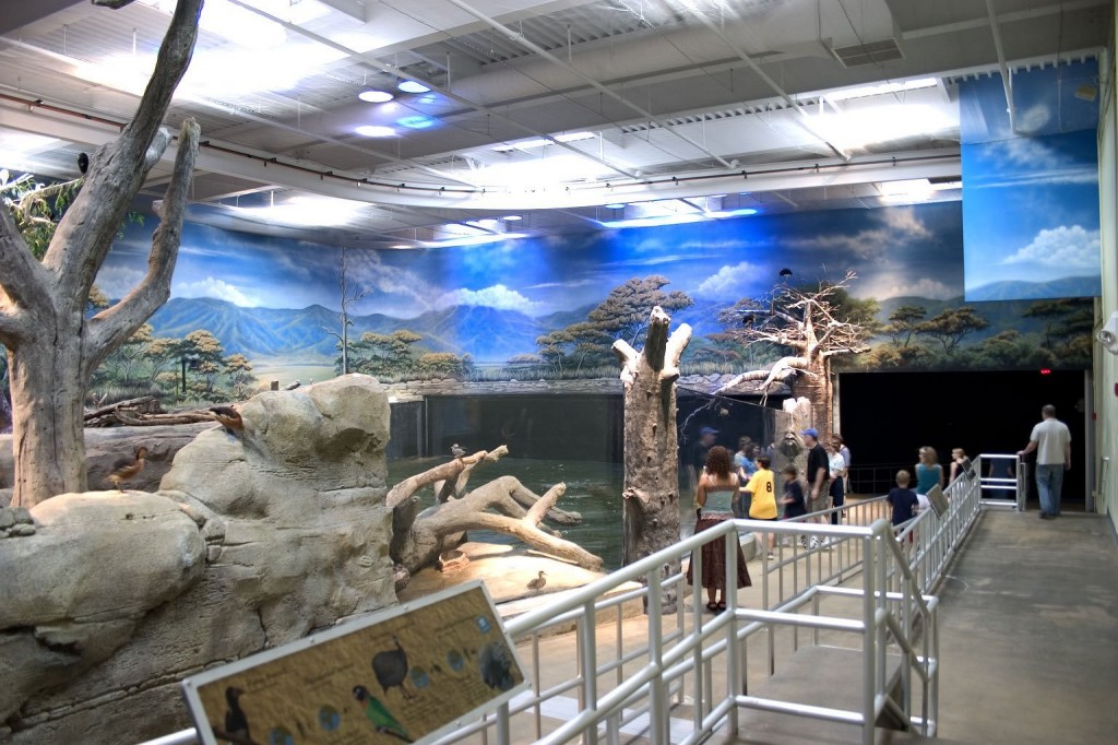 Hippo exhibit murals at Adventure Aquarium by Paul Barker of Googleplex