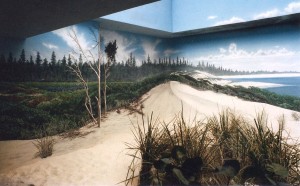 Shorebirds exhibit murals in the Aviary at Milwaukee County Zoo