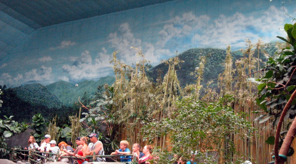 Murals at Brookfield Zoo's Tropic World by Paul Barker