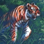 Tiger-detail-Paul-Barker-for-Henry-Vilas-Visitor-Center