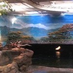 Adventure Aquarium hippo exhibit murals by Paul Barker