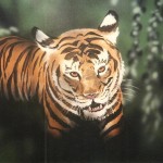 Tiger painted by muralist Paul Barker for Rainforest Cafe